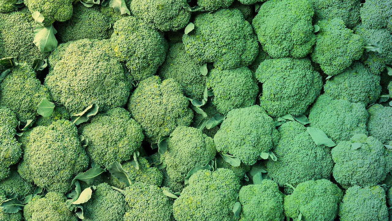 1682810-poster-1280-broccoli