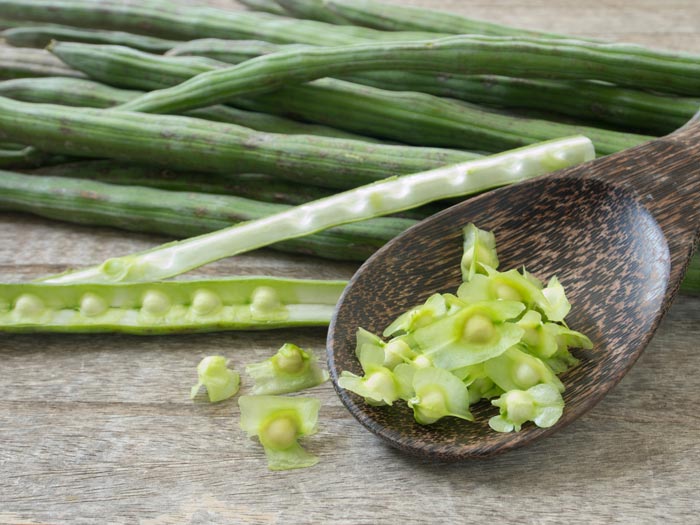 fresh-moringa-seeds