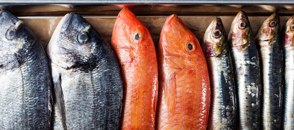 Sustainable Fish Options